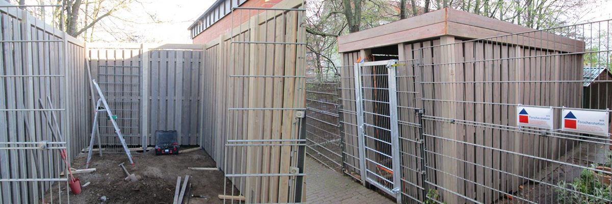 Holzunterstand und Bau-Arbeit
